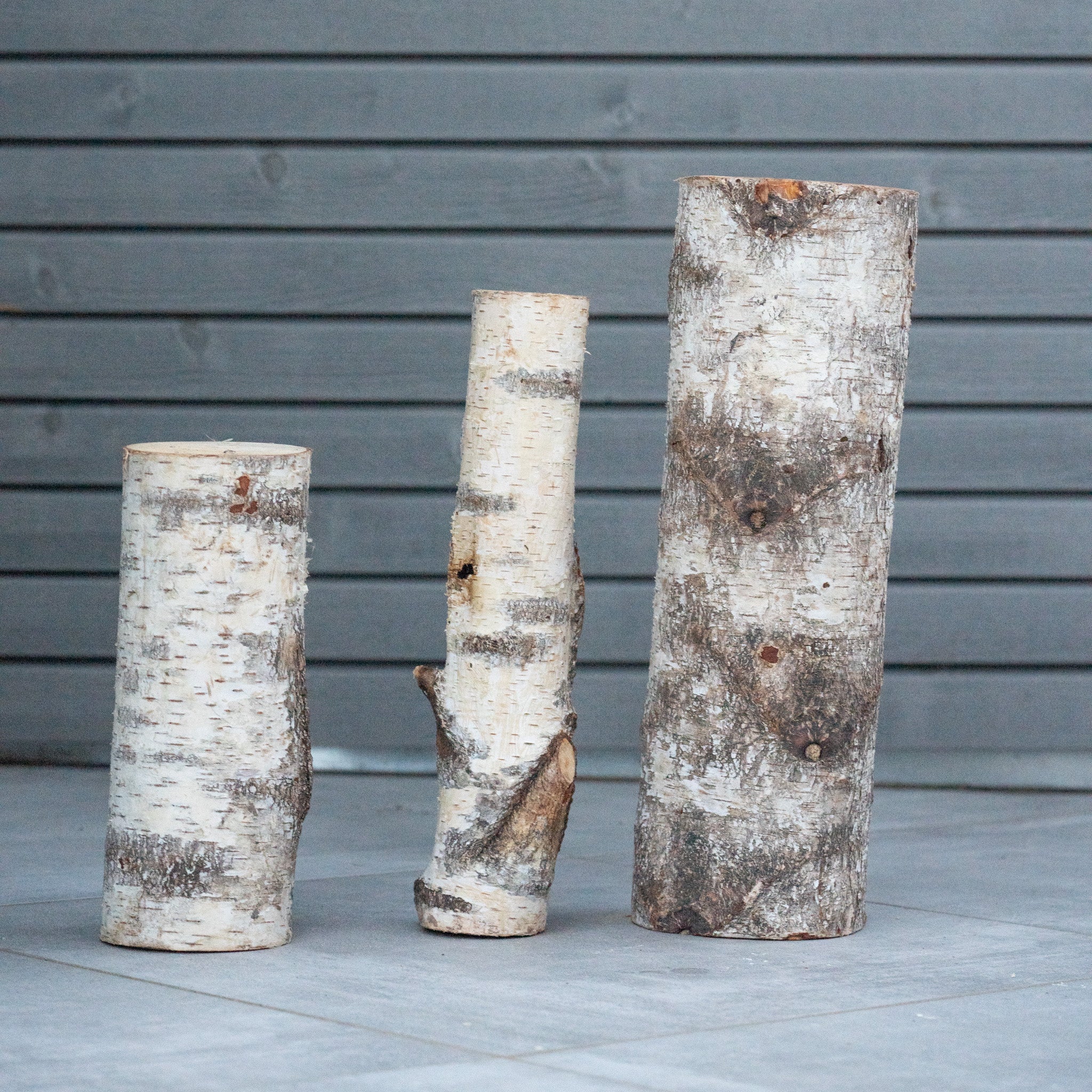 Birkenstämme "Kitzbühl"